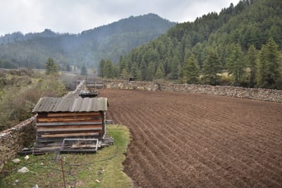 DSC_7904.JPG
