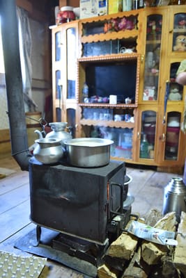 DSC_7948.JPG