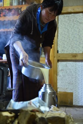 DSC_7951.JPG