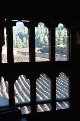 DSC_7962.JPG