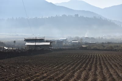 DSC_7970.JPG