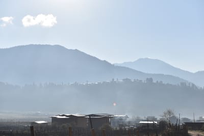 DSC_7974.JPG