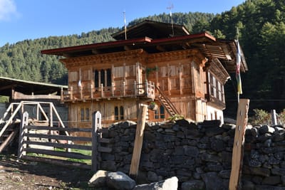 DSC_7975.JPG