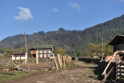 DSC_7976.JPG