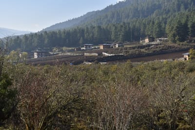 DSC_7977.JPG