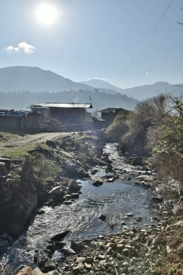 DSC_7980.JPG