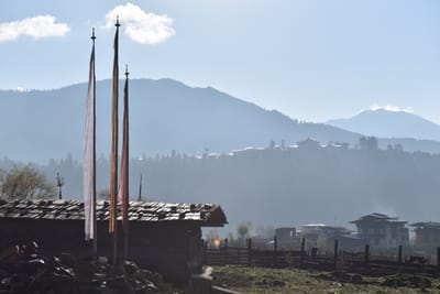 DSC_7987.JPG
