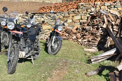 DSC_7998.JPG