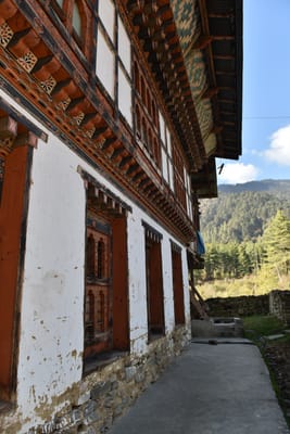 DSC_8002.JPG