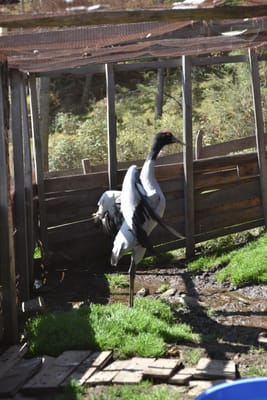 DSC_8011.JPG