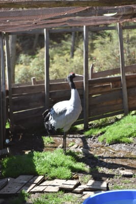 DSC_8018.JPG