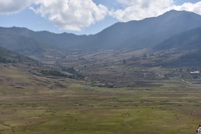 DSC_8020.JPG