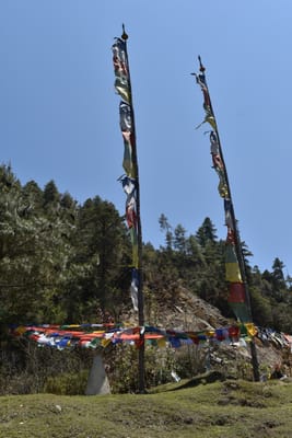 DSC_8047.JPG