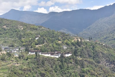 DSC_8059.JPG