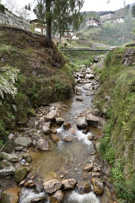 DSC_8061.JPG