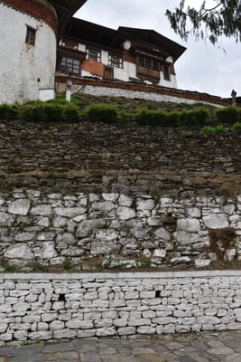 DSC_8108.JPG