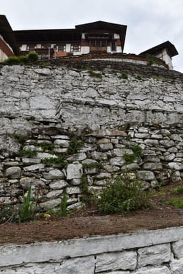 DSC_8109.JPG