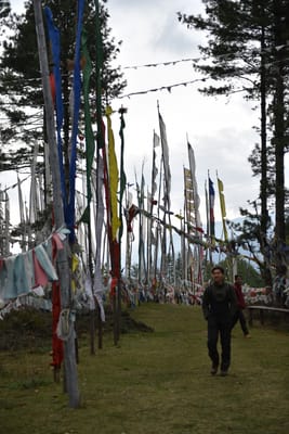 DSC_8130.JPG