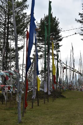 DSC_8131.JPG