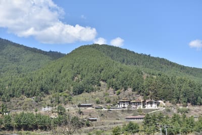 DSC_8144.JPG