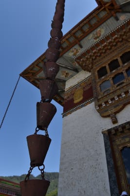 DSC_8147.JPG