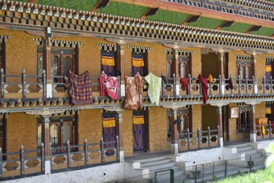 DSC_8155.JPG
