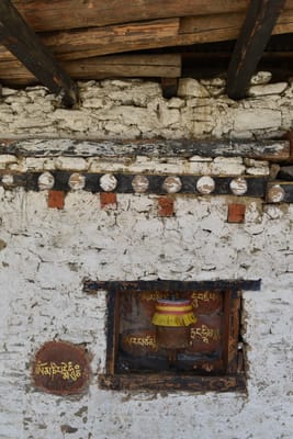 DSC_8164.JPG
