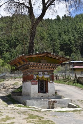 DSC_8174.JPG