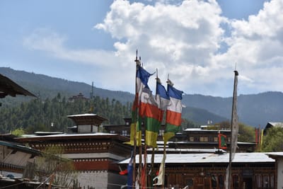 DSC_8207.JPG