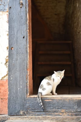DSC_8216.JPG