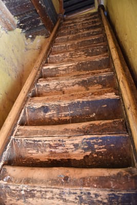 DSC_8217.JPG