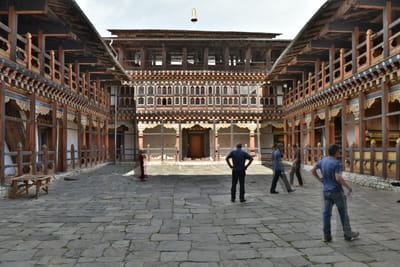 DSC_8220.JPG