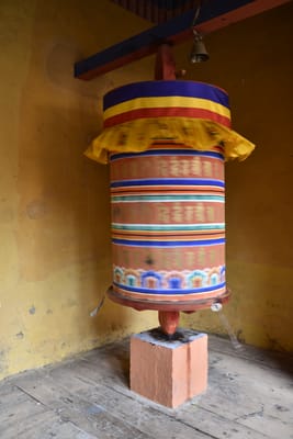 DSC_8227.JPG