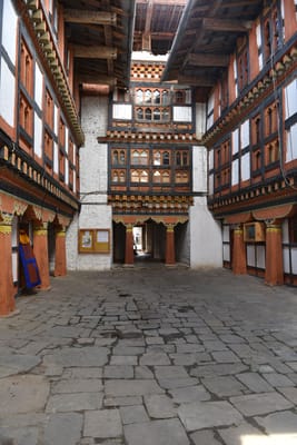 DSC_8231.JPG