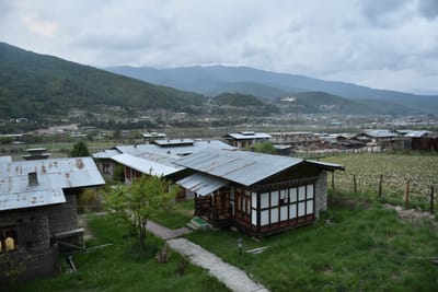DSC_8249.JPG