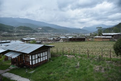 DSC_8250.JPG