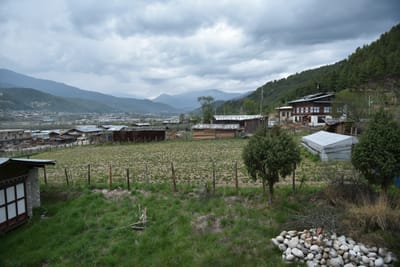 DSC_8251.JPG