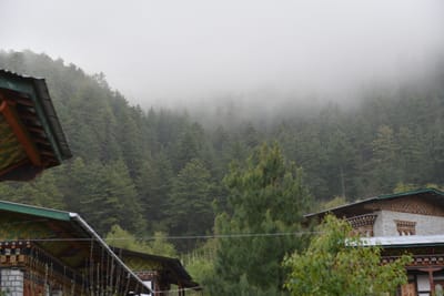 DSC_8253.JPG