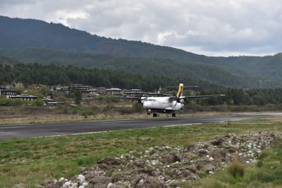 DSC_8256.JPG