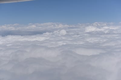 DSC_8269.JPG