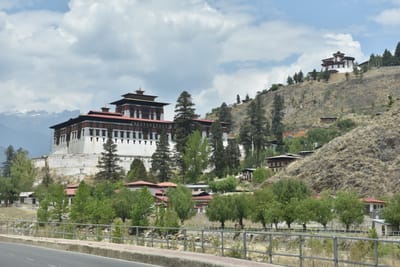 DSC_8301.JPG