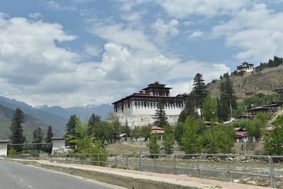 DSC_8302.JPG