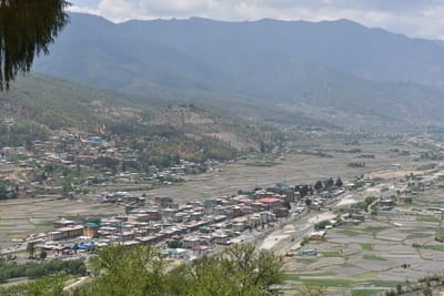 DSC_8303.JPG