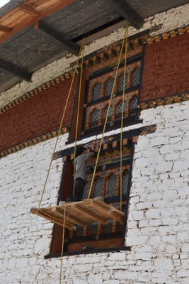 DSC_8305.JPG