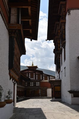 DSC_8353.JPG