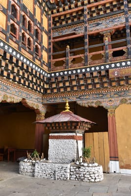 DSC_8363.JPG