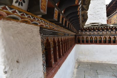 DSC_8378.JPG