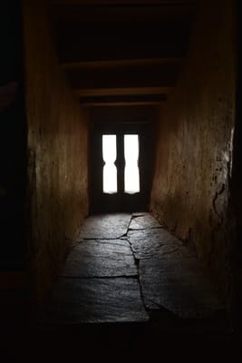 DSC_8380.JPG