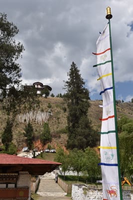 DSC_8385.JPG