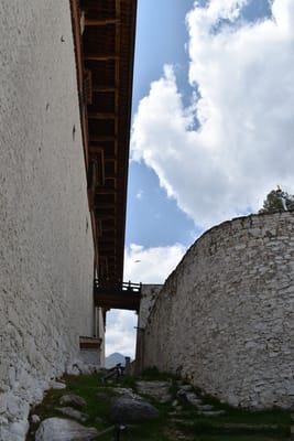DSC_8390.JPG